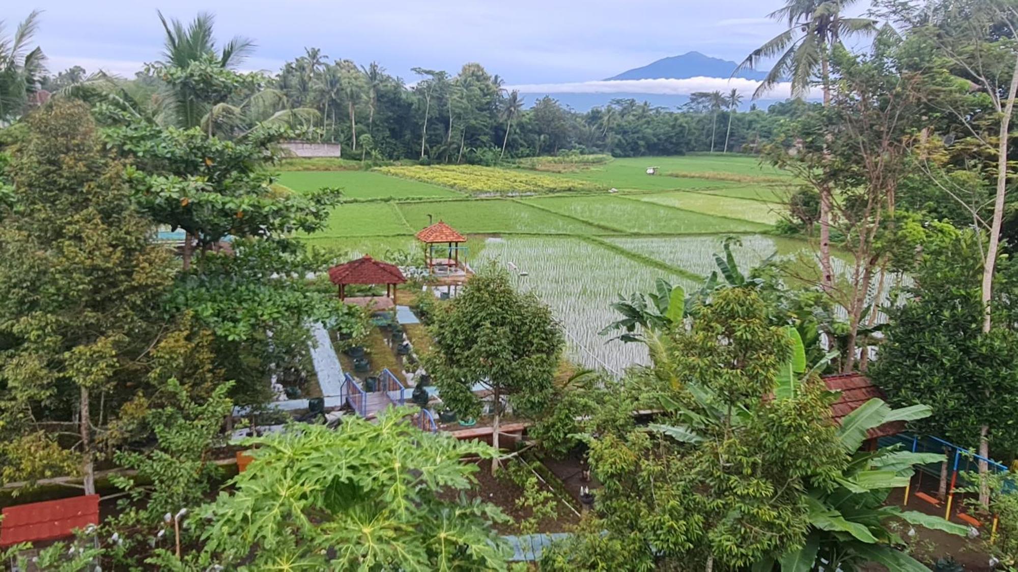 Anugrah Borobudur Magelang Dış mekan fotoğraf