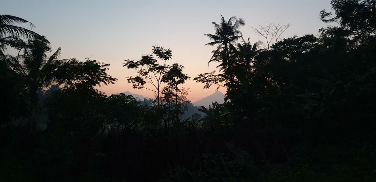 Anugrah Borobudur Magelang Dış mekan fotoğraf